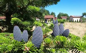 Paeevatalu Camping